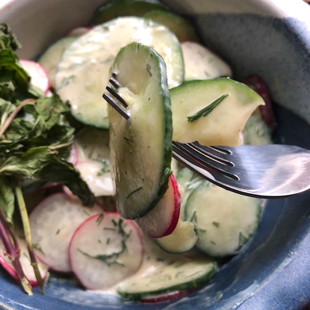 German Cucumber-Radish Salad