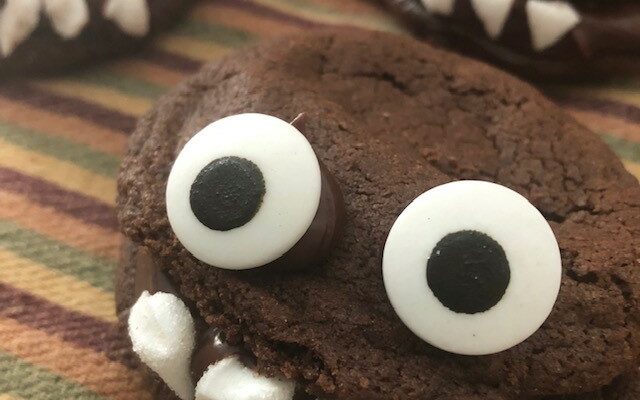 The Cutest Gluten Free Chocolate Monster Cookies!